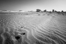 white desert egypt.jpg
